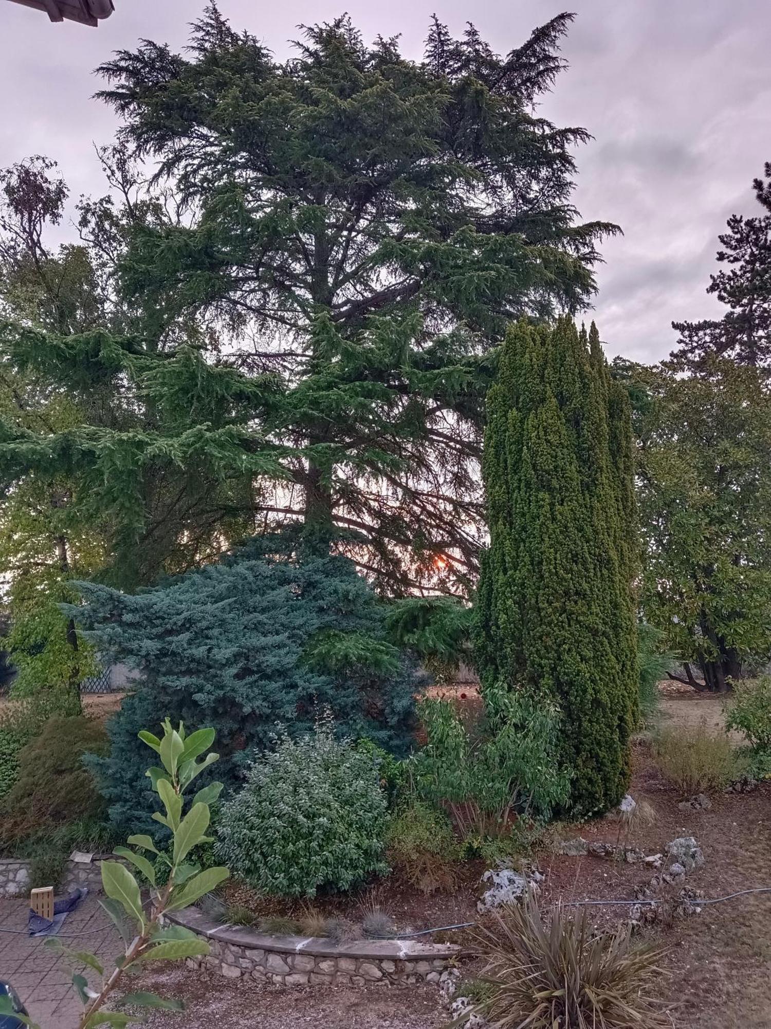 La Maison Basque Sainte-Livrade-sur-Lot Εξωτερικό φωτογραφία